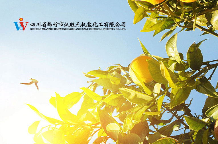 四川省绵竹市汉旺无机盐化工有限公司