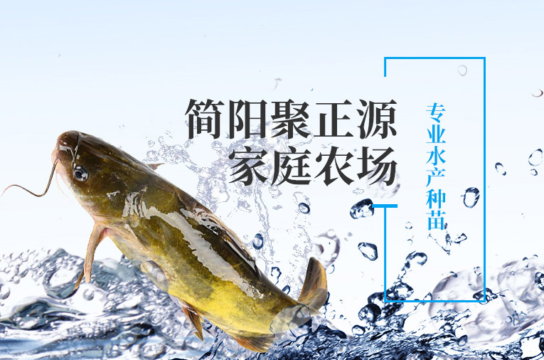 简阳聚正源家庭农场