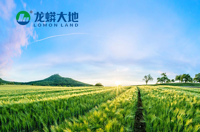 四川发展龙蟒股份有限公司