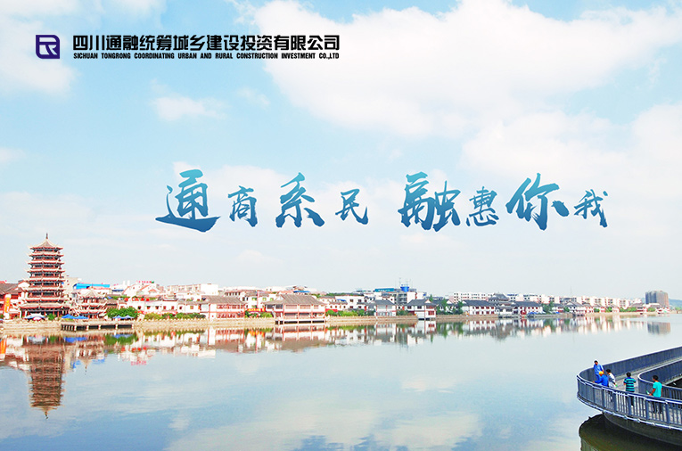 四川西南发展控股集团有限公司